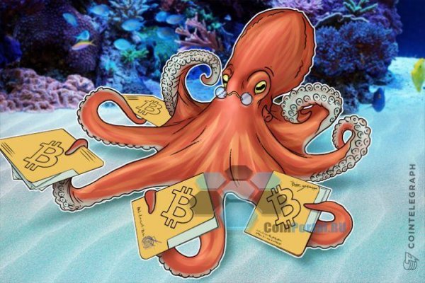 Kraken площадка