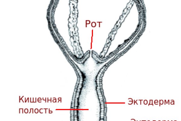 Кракен сайт 2krnk cc