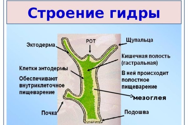 Даркнет ссылка