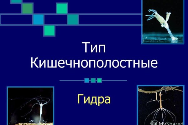 Официальный сайт кракен тор